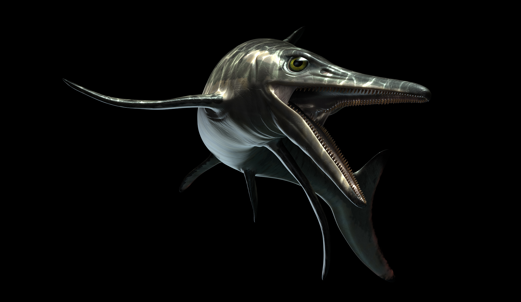 temnodontosaurus_head_closeup.jpg