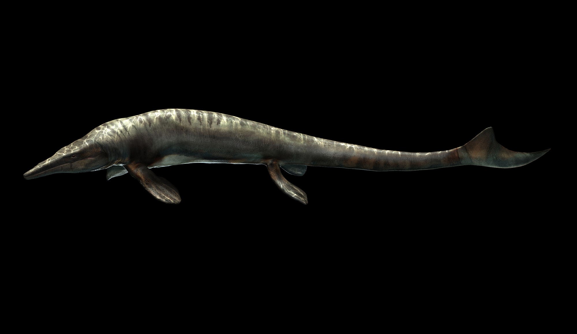 tylosaurus.jpg